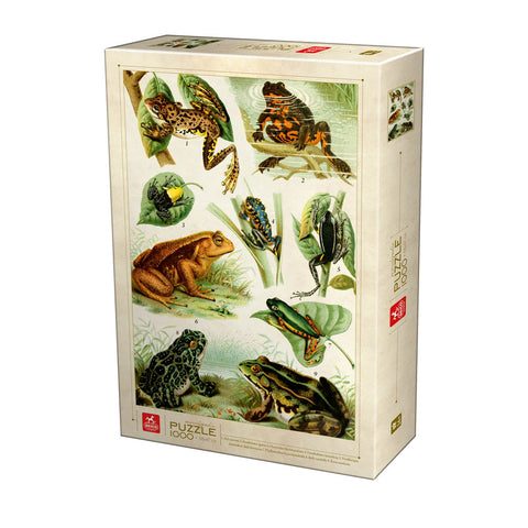 Dėlionė Deico Games Puzzle Frog Encyclopedia 1000