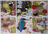 PAŽEISTA DĖŽUTĖ NAUDOTA Dėlionė Otter House Puzzle Garden Birds 1000