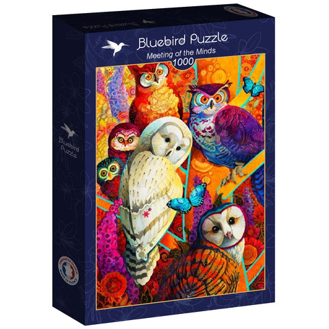 Dlione Dėlionė Bluebird Puzzle Meeting Of The Minds 1000