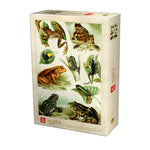 Dėlionė Deico Games Puzzle Frog Encyclopedia 1000