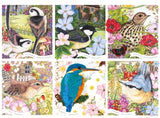 PAŽEISTA DĖŽUTĖ NAUDOTA Dėlionė Otter House Puzzle Garden Birds 1000